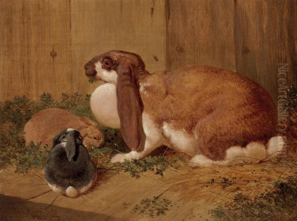 A Lop-eared Doe Rabbit And Her Young - view 1
