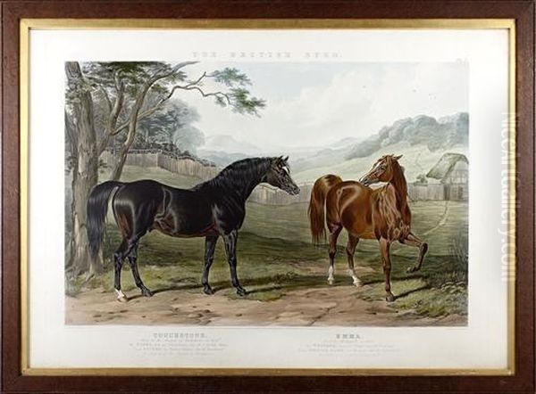 The British Stud - view 1