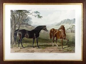 The British Stud by J.F. Herrings Herrings Sen.