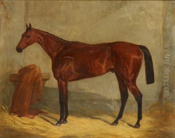 Cavallo - view 1