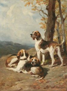 Chiens De Chasse Au Relais Chiens De Chasse Au Relais