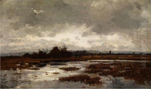 Moorlandschaft Unter Regenwolken - view 1