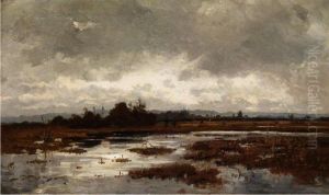 Moorlandschaft Unter Regenwolken by Philipp Ludwig Herrmann