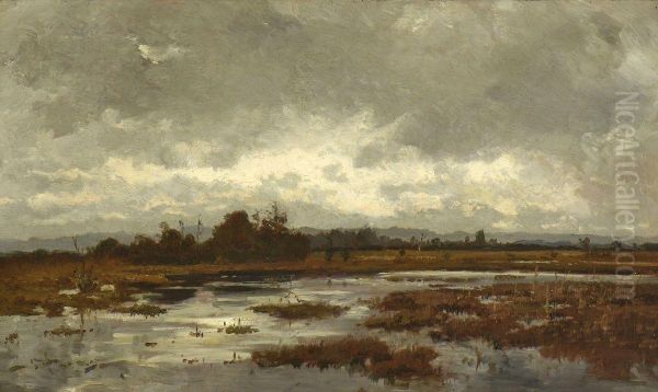 Moorlandschaft - view 1