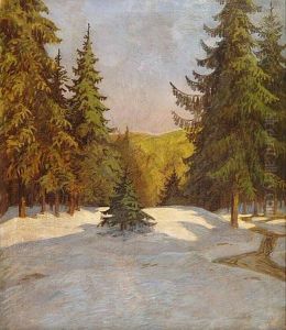Winterlandschaft Im Schwarzwald Mit Hohen Fichten