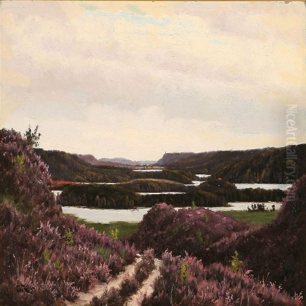 Colourful Heather Plants At The Silkeborg Lakes,denmark - view 1