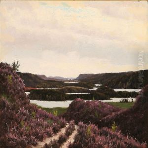Colourful Heather Plants At The Silkeborg Lakes,denmark by Oscar Herschend