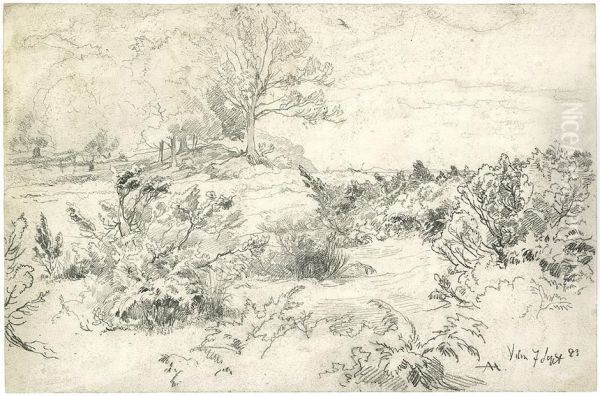 Landschaft Auf Vilm Bei Rugen - view 1