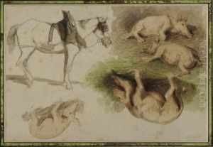 Etudes De Cheval Et De Cochons by Louis Adolphe Hervier