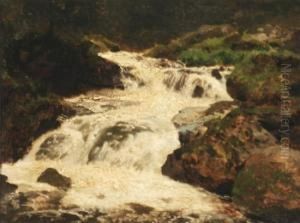 Cascading Falls by Herman Herzog