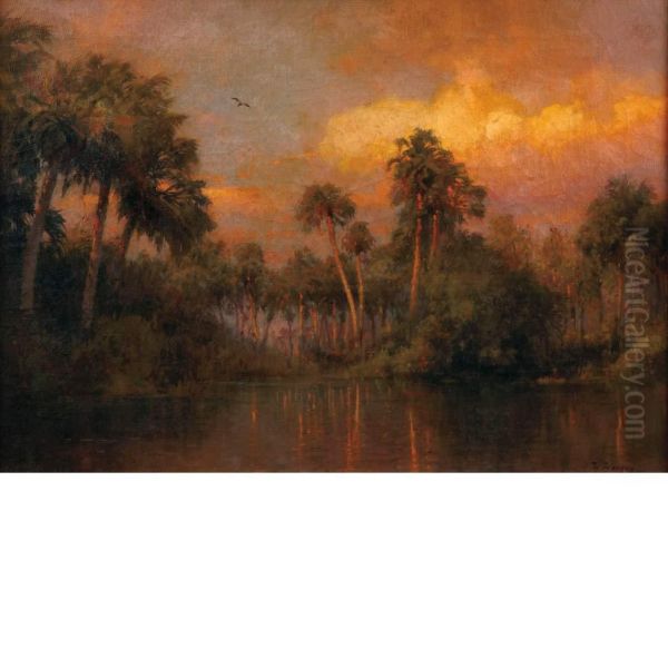 Sunset In The Florida Everglades - view 1