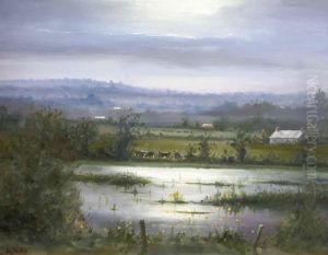 Flooded Fields 
Loughgall by David Hess