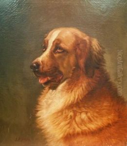 Portrait Of A Saint Bernard