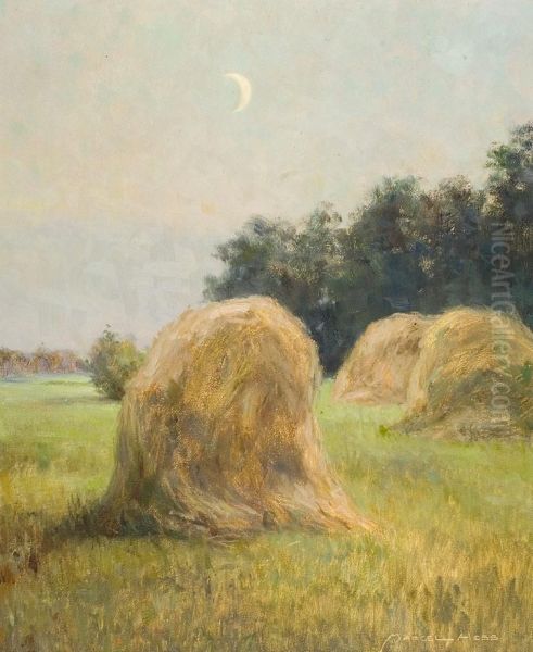 Hooioppers Bij Maneschijn - view 1