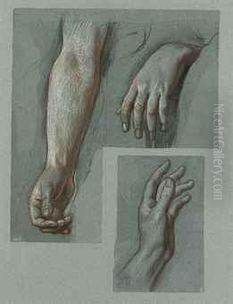 Studies Of Hands - view 1