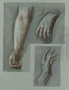 Studies Of Hands