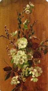 Dogwood, Cherry Blossoms And Pussywillow