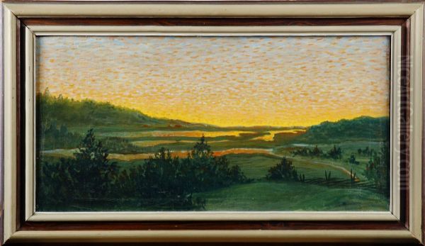 Skogslandskap - view 1