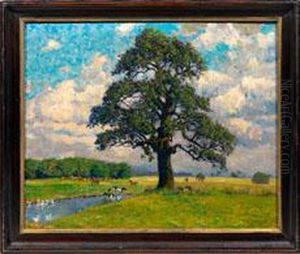 Impressionistische Sommerlandschaft Mit Alter Eiche