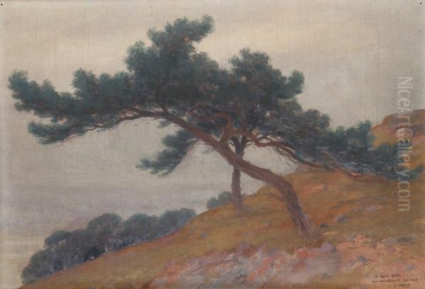 Les Pins Sur La Colline - view 1