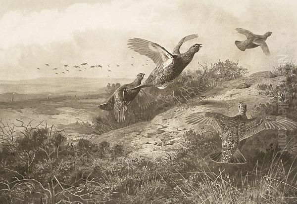 After N R Roskell, Grouse In Flight - view 1