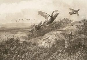 After N R Roskell, Grouse In Flight