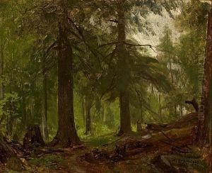 Forest Interior