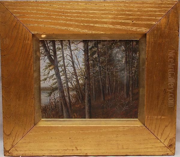 A Small Study For Trees Along The Susquehanna River - view 1