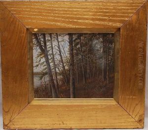 A Small Study For Trees Along The Susquehanna River