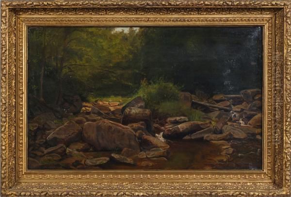 Scalp Level Landscape, Rocks Andstream In Forest - view 1