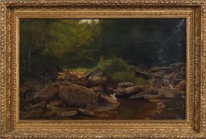 Scalp Level Landscape, Rocks Andstream In Forest