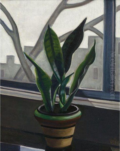 Still Life Of A Plant On A Window Sill - view 1
