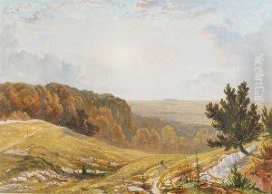 Brockly Combe From Backwell Hill Near Bristol