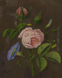 Still Life Of Roses And Convolvulus by James Hewlett