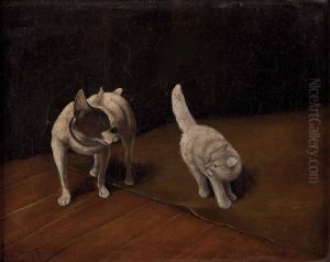 "katz Und Hund"