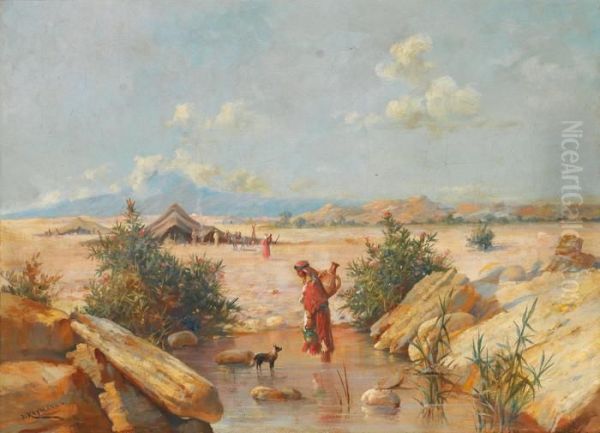 Campement Dans Le Desert - view 1