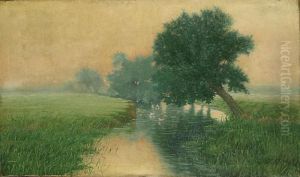 Beek In Een Landschap