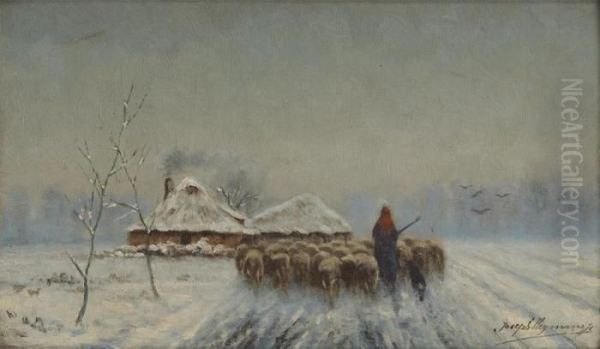 Retour Du Troupeau De Moutons Dans - view 1