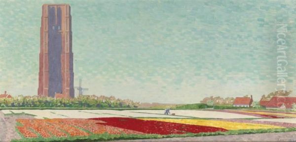 Bulb Fields Near Westkapelle - view 1