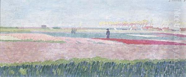 Bulb Fields, Zeeland - view 1