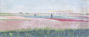 Bulb Fields, Zeeland