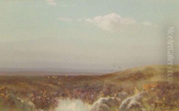 Belstone Moor - view 1