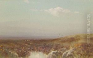 Belstone Moor by Herbert William Hicks