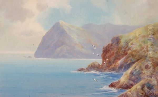 Coastal Scene - view 1