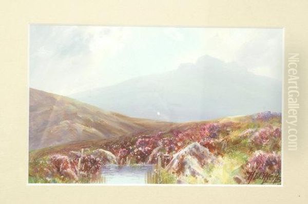 Moorland Heather - view 1