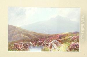Moorland Heather by Herbert William Hicks