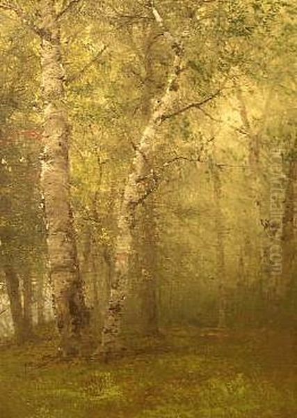 Birches - view 1