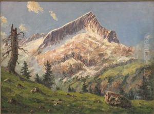 Blick Auf Ein Hochgebirgsmassiv