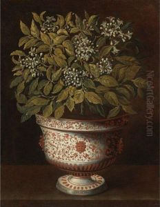 Terracotta Vase With An Orange Bush In Flower by Tomas Hiepes