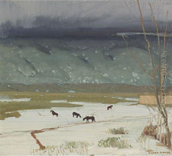 Winter Fields (pinion Trees) - view 1